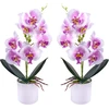 Xonor Dirbtinės orchidėjos vazone, 2 vnt., violetinės