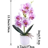 Xonor Dirbtinės orchidėjos vazone, 2 vnt., violetinės