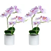 Xonor Dirbtinės orchidėjos vazone, 2 vnt., violetinės