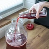Browin vyno mielės 400120, 20 ml, iki 14% alkoholio, 5-25 L partija, skystas, raudonam vynui gaminti