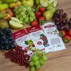 Browin vyno mielės ir maistas Enovini® BAYA VITA 400536, 17 g, džiovintos, baltam ir rožiniam vynui