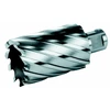 EXACT GMBH Exact Branduolinis grąžtas HSS Co5 39312, 12x55mm, 0.052kg