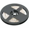 GTV Blykstės 2835, 600 LED šaltai baltos spalvos, 60W, be gelio, 10 mm, ritinys 5 m, 12 V (2 k