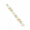 GTV 24V 2835, 600 LED šaltai baltos spalvos, 78W, be gelio 10 mm, ritinys 5 m (2 kabeliai)