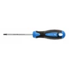 HOGERT Atsuktuvas Torx T20, 100 mm, S2 plienas