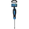 HOGERT Atsuktuvas Torx T40, 100 mm, S2 plienas