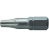 HOGERT Atsuktuvo antgalis, TORX 20, 25 mm, S2 plienas, 2 dalių lizdinė plokštelė