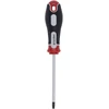 Kreator Atsuktuvas TORX T25 KRT404108, 100mm, magnetinė galvutė, minkštas rankenos dizainas