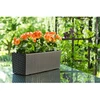 Lamela Balkono vazonas 9836253, 56 cm, 19 cm, Ø 56 cm, ruda, plastikas, stačiakampis, modelis: Begonia Rattan
