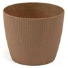 Lamela Gėlių vazonas Magnolija Jumper medis, 160x140 mm, rudos spalvos
