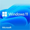 Microsoft WINDOWS 11 HOME 64-BIT FPP USB - GERMAN