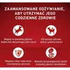 Purina Nestle Drėgnas Šunų Maistas - PURINA One Mini/Small Active Su Jautiena 85g