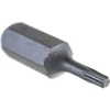 Rockforce TORX T10x30 mm antgalis, 1/4''