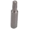 Rockforce TORX T25x30 mm L antgalis, 1/4''