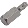 Rockforce TORX antgalis T30x10mm L-30mm