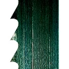 Pjovimo juosta Basa 4 2895x15x0,65mm 4 TPI, Scheppach