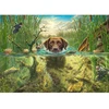 Schmidt Spiele Dėlionė 58572, 1000 vnt., 69.3x49.3 cm, Dog Love, Rudas labradoras, Įvairiaspalvė, Kartonas, Nuo 12 m.