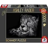 Schmidt Spiele Dėlionė PQ 1000 Ashley Rader Gepard G3
