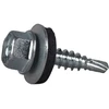 Sraigtai Essve 64951; 4,8x20 mm; 250 vnt.
