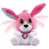 Vtech VTech Talk to Me šuniuko pliušinis žaislas (rožinis)