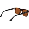 Akiniai nuo saulės WEB EYEWEAR WE0350 5555E (vyrams)