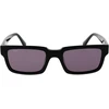 Akiniai nuo saulės WEB EYEWEAR WE0360 5301A (vyrams)
