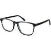Akinių rėmeliai BOTANIQ EYEWEAR BIO-1010 55104 (vyrams)