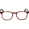 Akinių rėmeliai BOTANIQ EYEWEAR BIO-1012 49196 (vyrams)