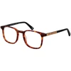 Akinių rėmeliai BOTANIQ EYEWEAR BIO-1012 49196 (vyrams)