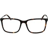 Akinių rėmeliai HACKETT EYEWEAR HEK1292 56105 (vyrams)