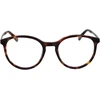 Akinių rėmeliai HACKETT EYEWEAR HEK1302 50190 (vyrams)