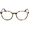 Akinių rėmeliai TAYLOR MORRIS EYEWEAR SW2 51C3 (vyrams ir moterims)