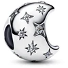 Papuošalas PANDORA 794254C01 (moterims)