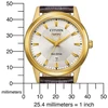 Rankinis laikrodis CITIZEN AW0102-13AC (vyrams)