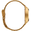 Rankinis laikrodis NIXON A1130-5333