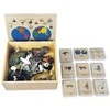 Dėlionė TimeTEX Žemynų gyvūnų dėžutė (Vokiška versija) "Montessori Premium" (TT94712)