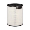 Originalus oro drėkintuvo pakaitinis filtras Philips FY4440/30
