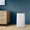 Philips Dehumidifier DE3306/11