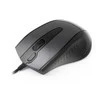 A4Tech A4TMYS40975 Pelė V-TRACK N-500F-1 Glossy Pilkas USB
