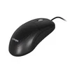 Kompiuterio Pelė - Activejet AMY-146 USB A Tipo Optinė 1000 DPI