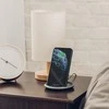 „Moshi Lounge Q Industrial Quality 2 A“ (99MO022218)