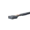 Akasa Adapteris intern USB 3.0 zu intern USB 2.0 – 15 cm
