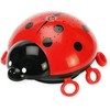 Ansmann Starlight Ladybird