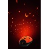 Ansmann Starlight Ladybird