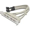 Assmann Electronic ASSMANN USB lizdo laikiklio kabelis 4x tipo A-2x10 kontaktų IDC F/F 0,25 m USB 2.0 suderinamas