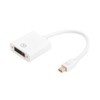 Assmann Electronic ASSMANN adapteris mini ekranasPort St - DVI-D Bu 24+5