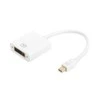 Mini DisplayPort į DVI-D adapteris 24+5