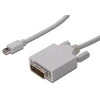 Assmann Electronic ASSMANN DisplayPort adapterio kabelis mini DP - DVI(24+1) M/M 2.0m DP 1.1a suderinamas su CE wh