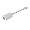 Assmann Electronic ASSMANN DisplayPort adapterio kabelis mini DP - HDMI tipas AM/F 0.15m DP 1.1a suderinamas su CE wh