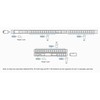 Aten | Basic Matated 1U PDU (10A, 9 Outlet IEC 320 C13) | PE1109G
